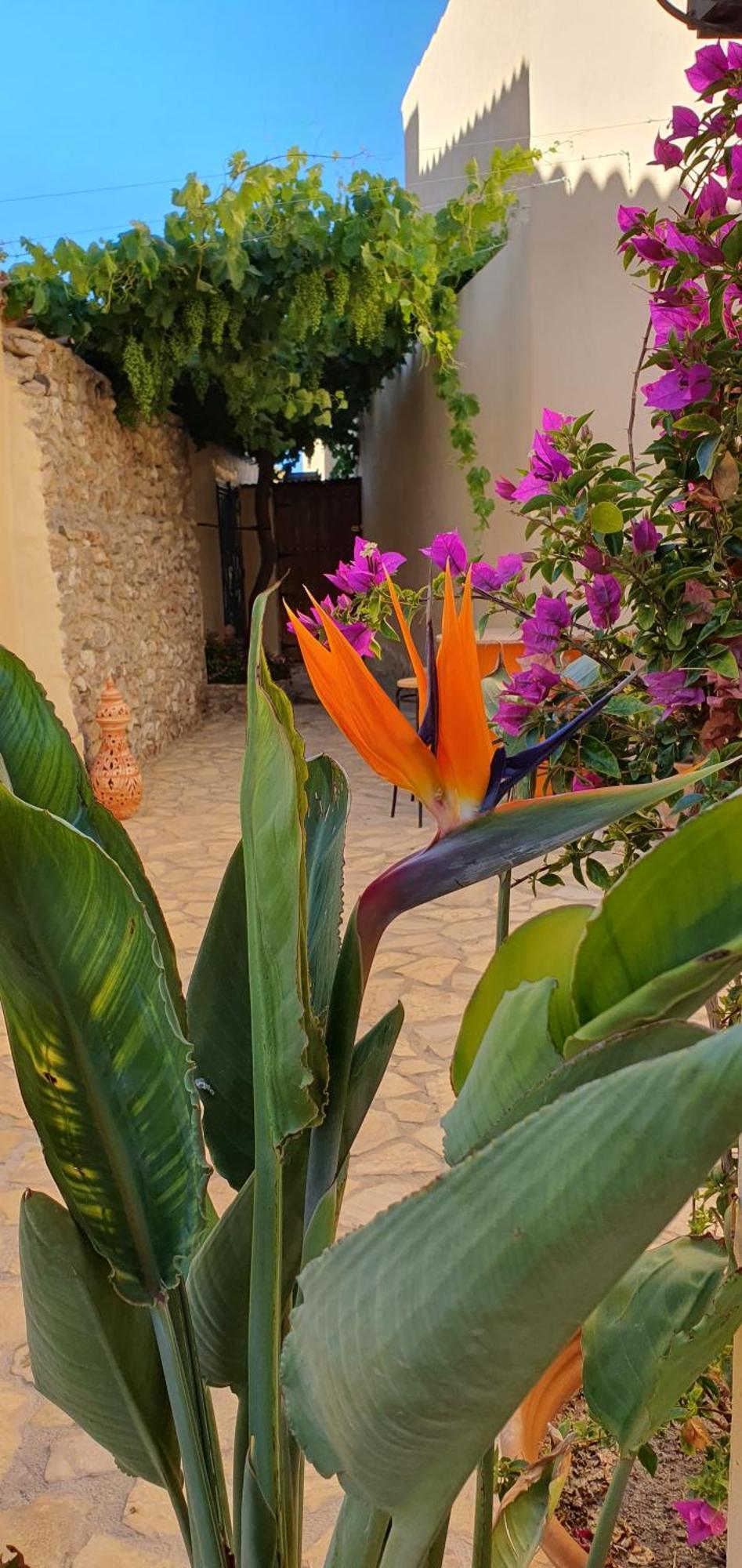 شقة El Jardin Secreto Oria المظهر الخارجي الصورة